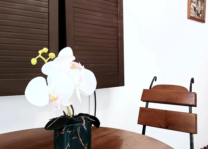 Noemi Old Town 3* Brașov